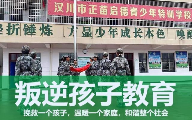 问题青少年特训学校(青少年特训学校)