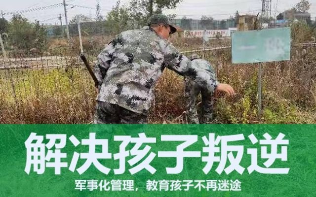 叛逆期孩子沉迷游戏、早恋怎么办(孩子沉迷